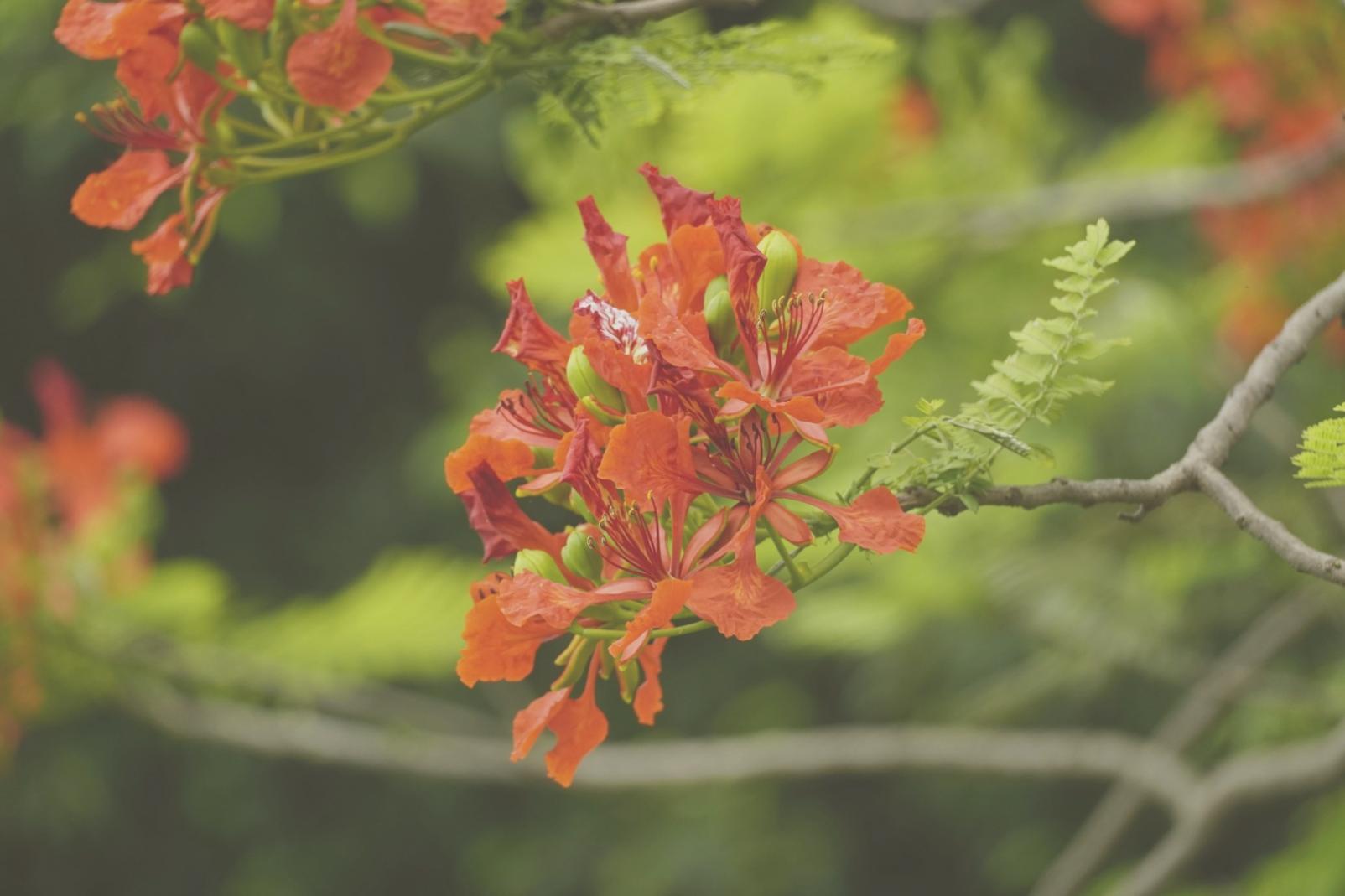 Beautiful seasonal floral arrangement showcase